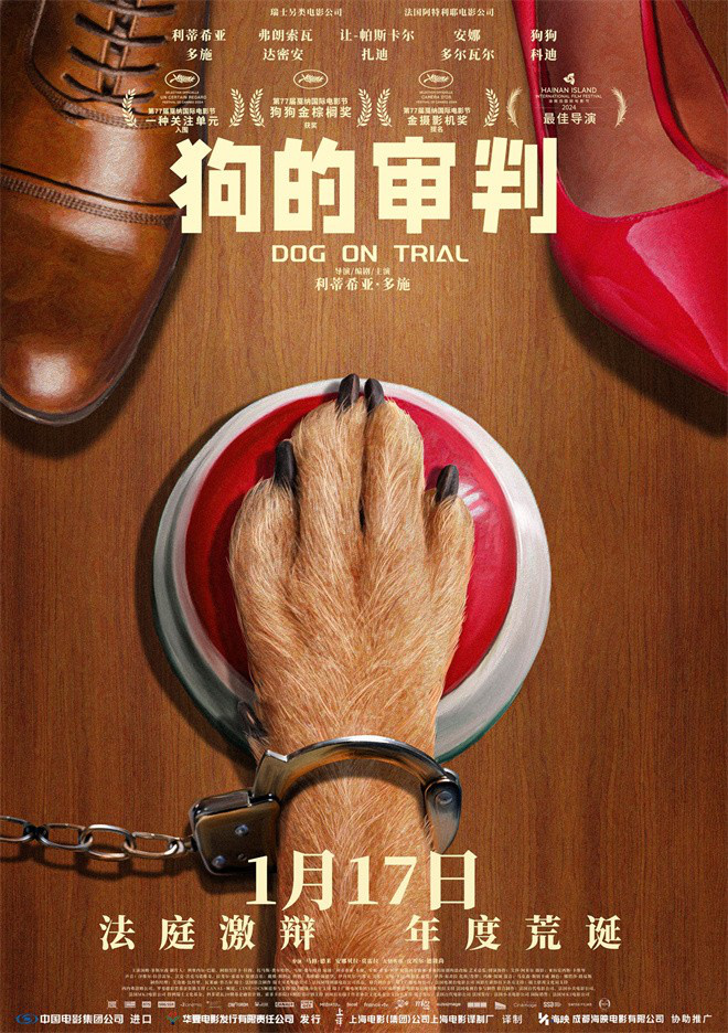 小狗当被告？狗狗金棕榈获奖片《狗的审判》定档-起点剧情网
