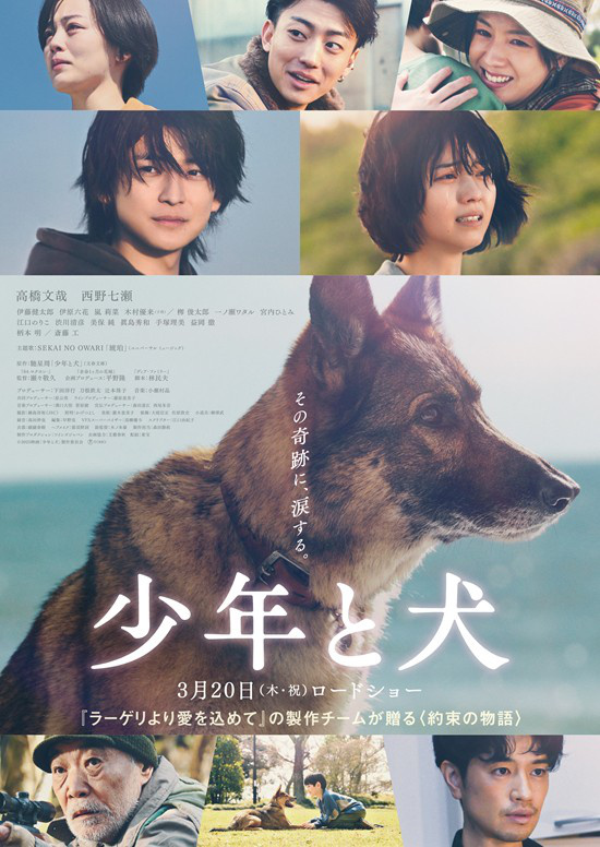 催泪主题曲公开！高桥文哉《少年与犬》曝主预告-起点剧情网