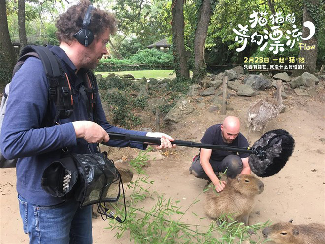《猫猫的奇幻漂流》幕后特辑曝光 来看萌宠诞生记-起点剧情网