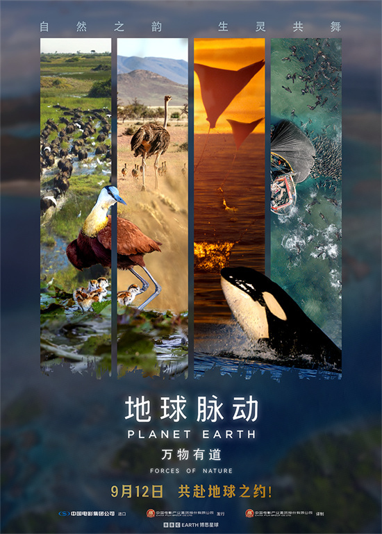 汉斯·季默配乐!《地球脉动：万物有道》定档9.12-起点剧情网