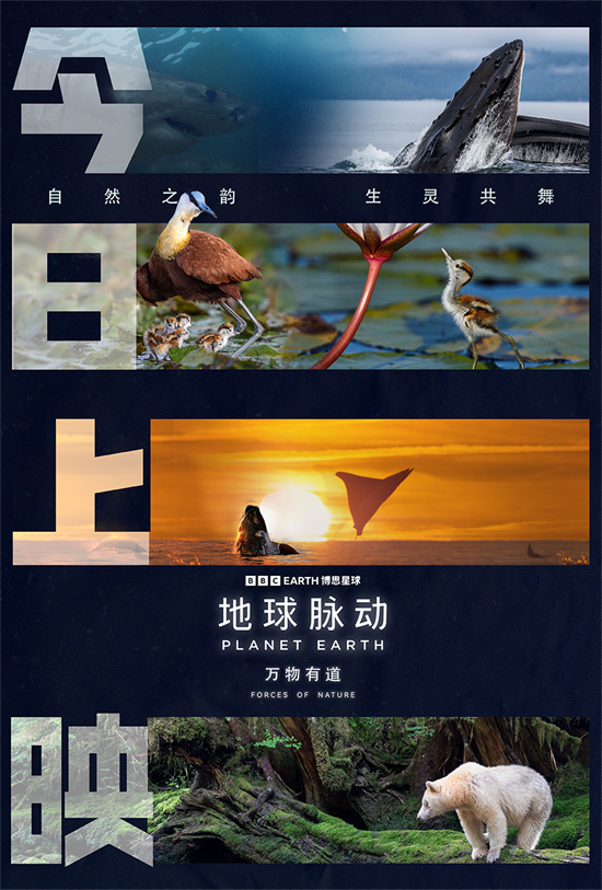 《地球脉动:万物有道》曝预告 与万物同行回归本真-起点剧情网