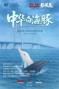 吉祥物原型“拍片”了!纪录电影《中华白海豚》12月12日全国上映-起点剧情网