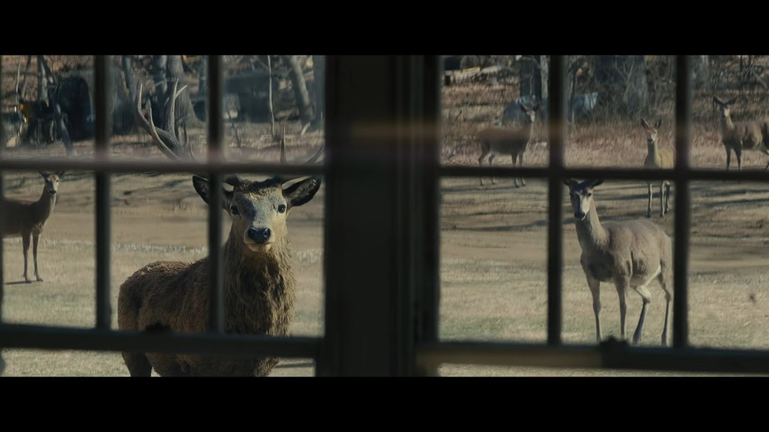 斯皮尔伯格全新电影《揭秘日》首支预告发布！定档26年6月12日-起点剧情网